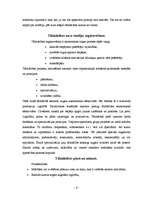 Referāts 'Tālmācība, e-apmācība', 6.