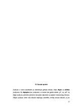 Prakses atskaite 'Kvalifikācijas prakse', 25.