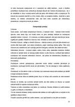 Prakses atskaite 'Kvalifikācijas prakse', 29.