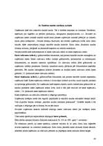 Prakses atskaite 'Kvalifikācijas prakse', 66.