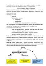 Prakses atskaite 'Kvalifikācijas prakse', 74.