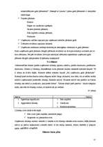 Prakses atskaite 'Kvalifikācijas prakse', 81.