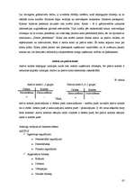 Prakses atskaite 'Kvalifikācijas prakse', 82.