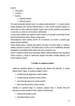 Prakses atskaite 'Kvalifikācijas prakse', 83.