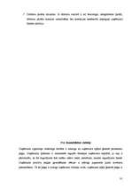 Prakses atskaite 'Kvalifikācijas prakse', 91.