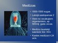 Prezentācija 'Zarndobumaiņu tips', 8.