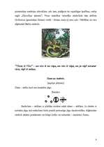 Referāts 'Alķīmija', 8.