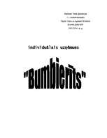 Biznesa plāns 'IU "Bumbierīts"', 14.