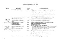 Konspekts 'Tematiskais plāns datorikā 6.klasei', 3.