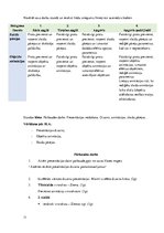 Konspekts 'Tematiskais plāns datorikā 6.klasei', 11.