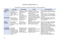 Konspekts 'Tematiskais plāns datorikā 6.klasei', 16.