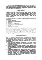 Referāts 'Laime', 7.