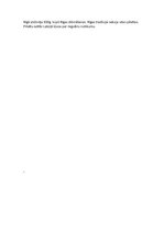 Eseja 'Senā latviešu kultūra - pamats mūsdienu kultūrai', 2.