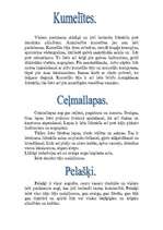 Referāts 'Ārsnieciskās tējas', 2.