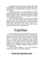 Referāts 'Ārsnieciskās tējas', 8.