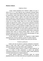 Referāts 'Eksporta plāns firmai "Laskana"', 4.