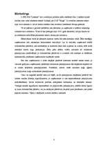 Referāts 'Eksporta plāns firmai "Laskana"', 8.