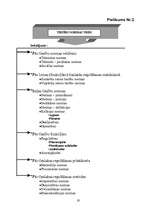 Referāts 'Tiesību normas', 19.