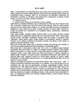 Referāts 'Šahs', 3.