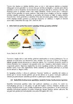 Diplomdarbs 'Sadarbība starp uzņēmējiem kopīgu tūrisma produktu radīšanai - "Impresso" piemēr', 21.