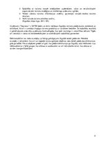 Diplomdarbs 'Sadarbība starp uzņēmējiem kopīgu tūrisma produktu radīšanai - "Impresso" piemēr', 25.