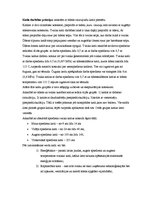 Konspekts 'Kuģu tvaika katli', 2.