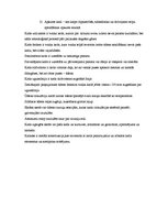 Konspekts 'Kuģu tvaika katli', 3.