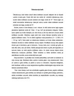 Konspekts 'Kuģu tvaika katli', 6.