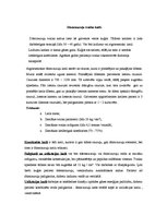 Konspekts 'Kuģu tvaika katli', 7.