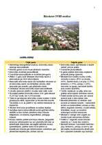 Referāts 'Rēzeknes SVID analīze', 3.