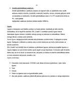 Referāts 'SIA "Dukāts" ārējā un iekšējā analīze', 10.