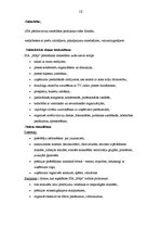 Biznesa plāns 'Koka māju celtniecība', 10.