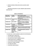 Biznesa plāns 'Koka māju celtniecība', 11.