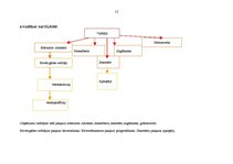 Biznesa plāns 'Koka māju celtniecība', 12.