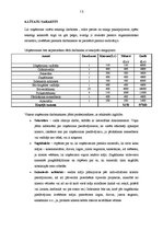 Biznesa plāns 'Koka māju celtniecība', 13.