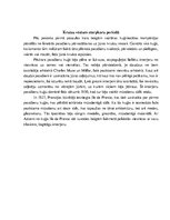 Referāts 'Transporta līdzekļi un palīglīdzekļi kravas nogādāšanai', 8.