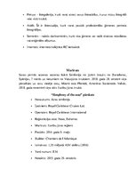 Referāts 'Transporta līdzekļi un palīglīdzekļi kravas nogādāšanai', 17.