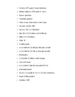 Referāts 'Transporta līdzekļi un palīglīdzekļi kravas nogādāšanai', 18.