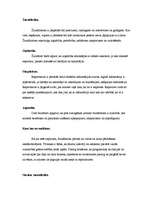 Eseja 'Žurnālista profesija un profesionālisma jēdziens', 2.