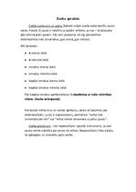 Paraugs 'Mājas elektroierīču patēriņa pētīšana', 4.