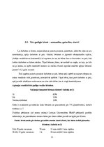 Referāts 'Datora lietojums bērniem', 11.