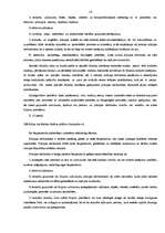 Referāts 'Policija, policijas darbinieka jēdzines', 13.