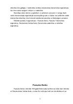 Referāts 'Starptautiskās ekonomiskās organizācijas', 3.