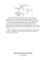 Referāts 'Starptautiskās ekonomiskās organizācijas', 6.