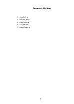 Referāts 'Starptautiskās ekonomiskās organizācijas', 20.