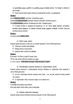 Referāts 'Manas kļūdas latviešu valodā', 8.