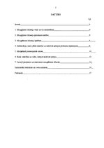 Referāts 'Veļas un apģērbu mazgāšanas līdzekļi', 2.