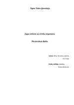 Referāts 'Jogas ietekme uz cilvēka organismu', 1.