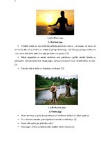 Referāts 'Jogas ietekme uz cilvēka organismu', 7.