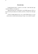 Referāts 'Jogas ietekme uz cilvēka organismu', 19.